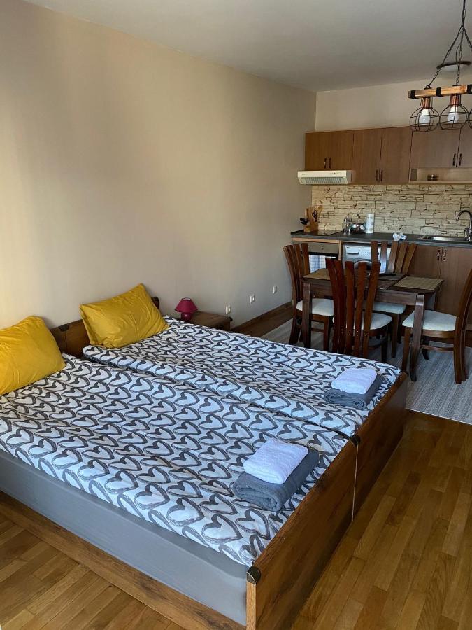 Bansko Spa Studio At Predela1 Zewnętrze zdjęcie